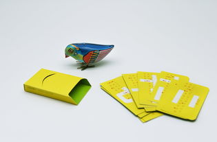 喜鹊35周年 无界设计，翱翔于平面与包装之间的创新美学